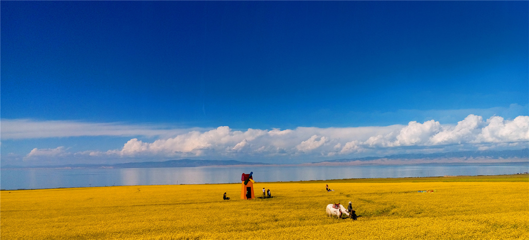 《大美青?！穭㈤?/>
                                    <div   id=