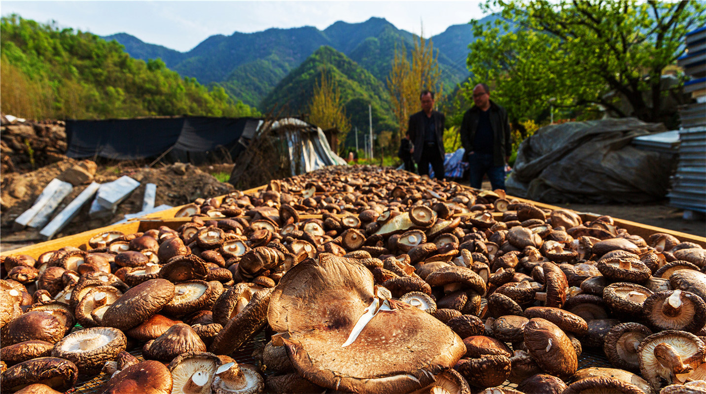 《結(jié)對幫扶，碩果累累》高波