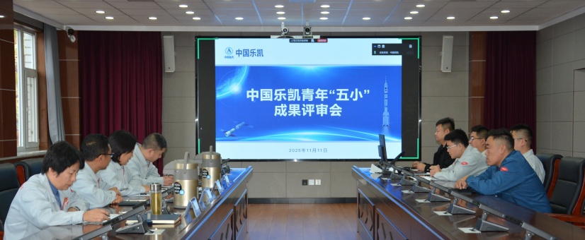 激揚青春智造力！中國樂凱團委召開青年&ldquo;五小&rdquo;成果評審會